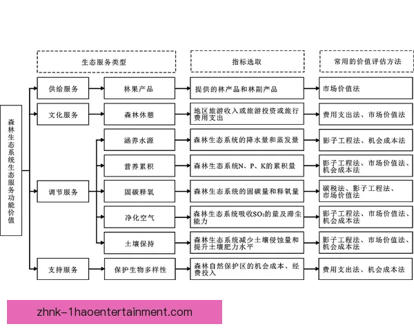 加维对阵国米比赛中意甲防守端贡献与战术价值全面评估分析研究视角
